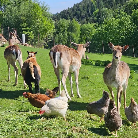 Dom wakacyjny Osada Mała Kozówka Myślenice