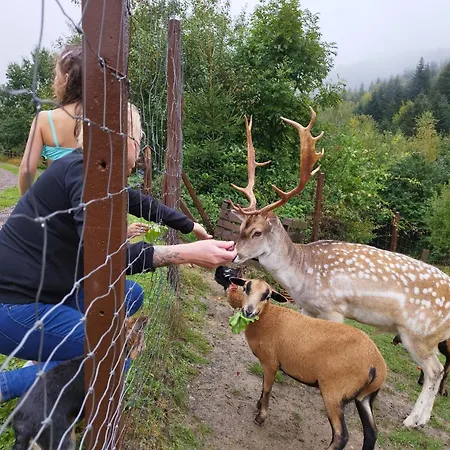 Osada Mala Kozowka Vakantiehuis