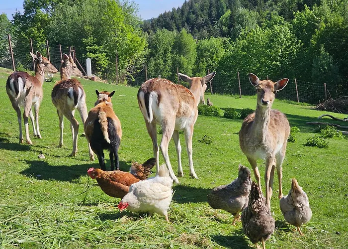 Tatil Evi Osada Mala Kozowka Myślenice
