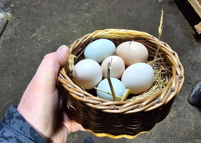 Tatil Evi Osada Mala Kozowka *