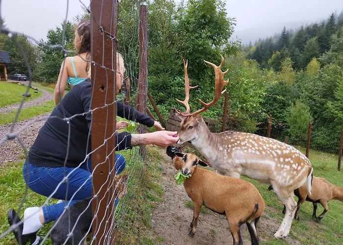 Osada Mala Kozowka Tatil Evi